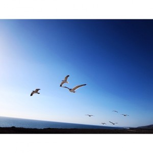 cf64b8768ebf11e3a4fe128cc0c6bcb2_8